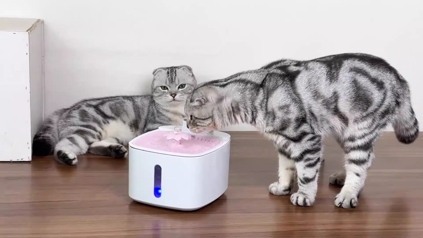 Wireless induction pet water dispenser by eprolo with large capacity, circulating filtration, ideal for outdoor cats and dogs.