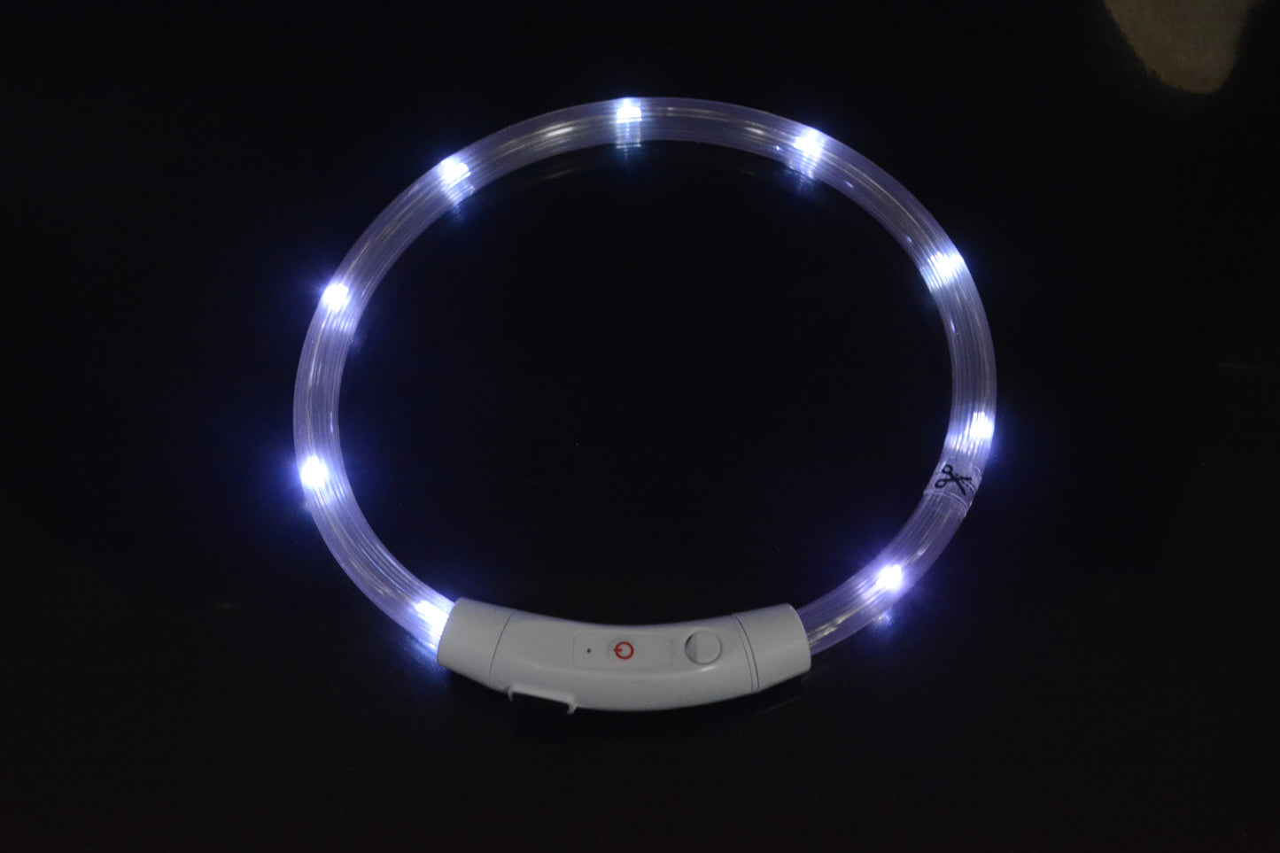 Eprolo luminous LED dog collar with USB charging, bright glow, adjustable neck ring for visibility during walks at night.