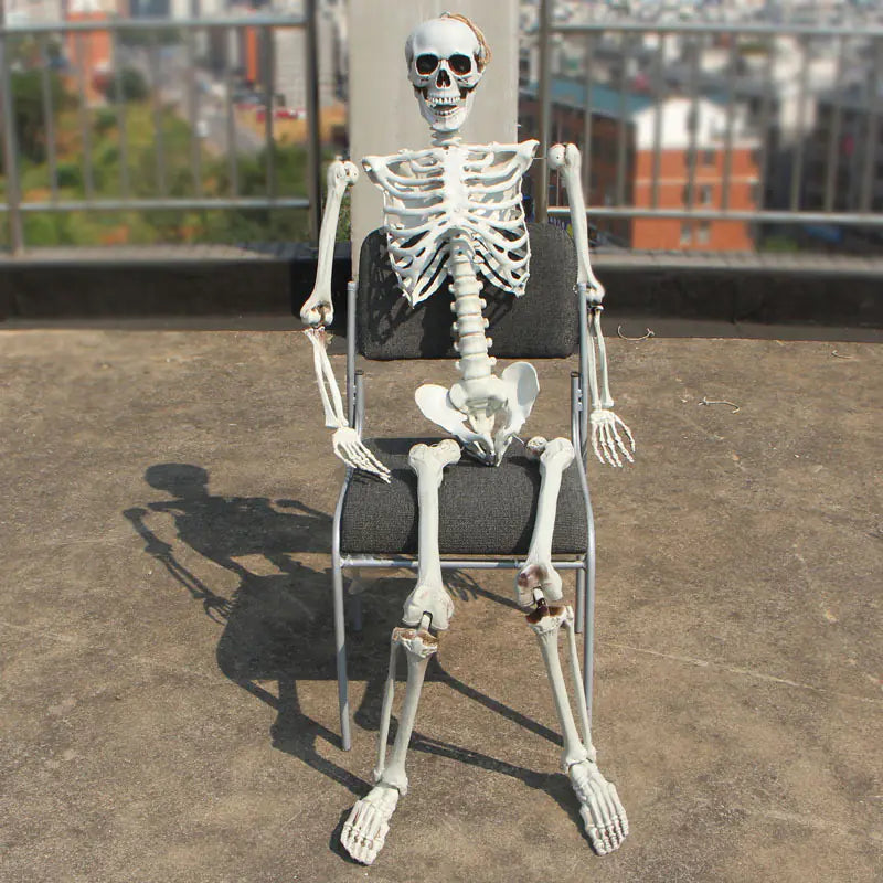 Realistic Skeleton Model for Halloween Decoration