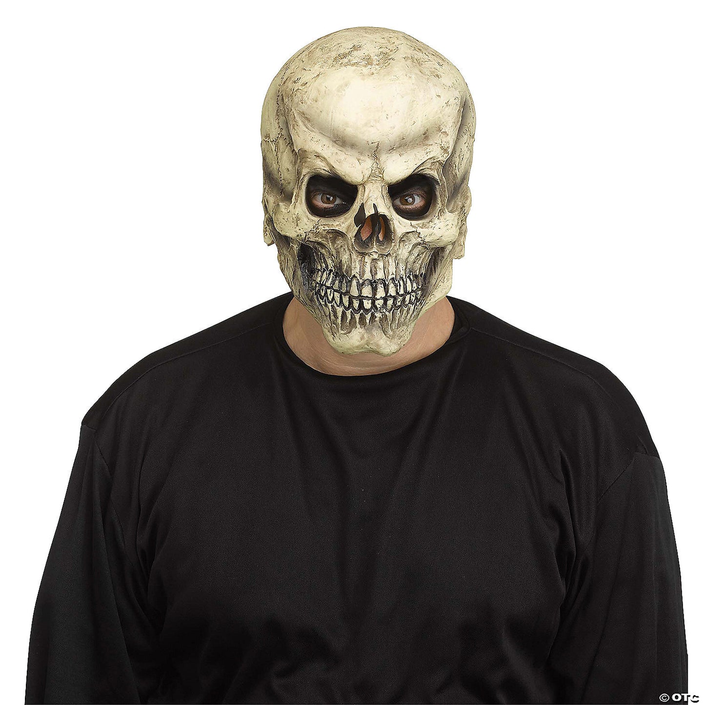 Adults brown realistic skull mask by Morris, featuring detailed bone structure and eye openings for a striking, lifelike appearance.