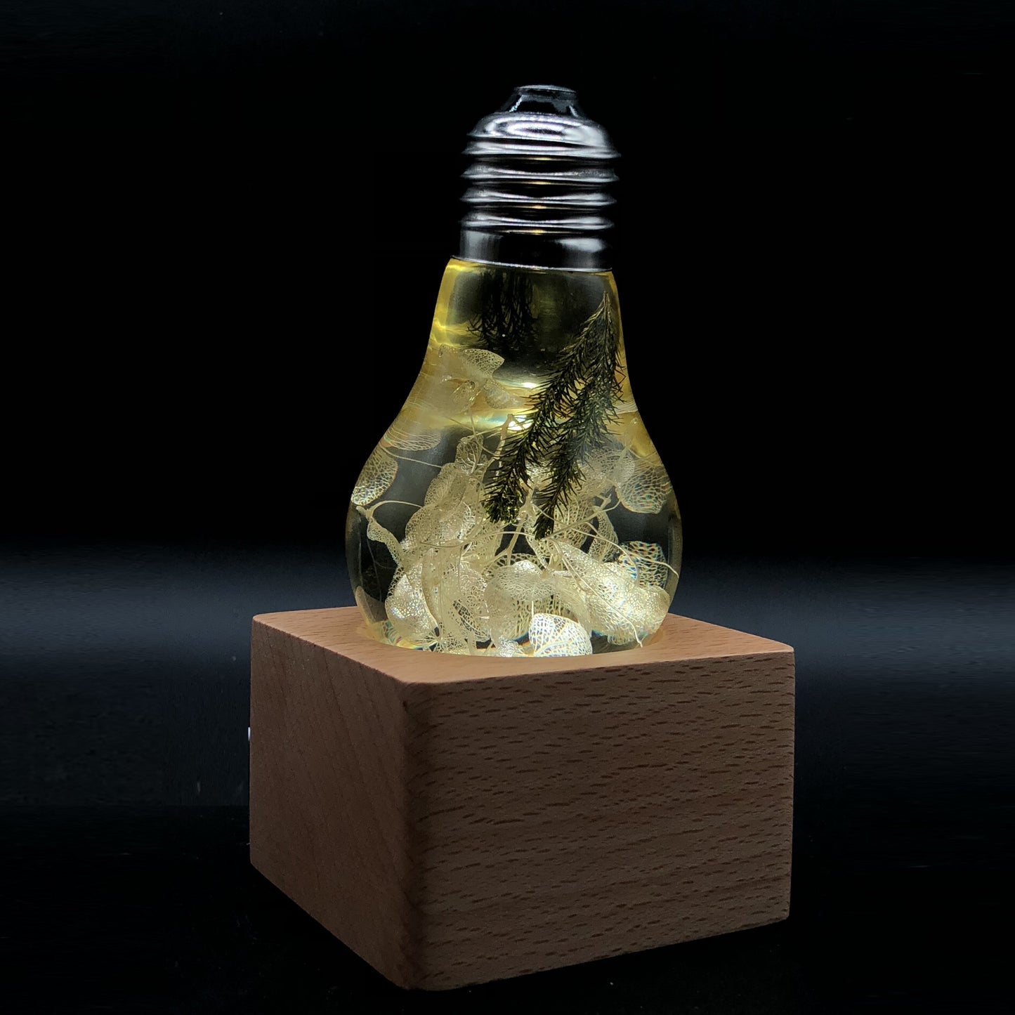 EP LIGHT Gift Set - 3-Pack LED Lights-4