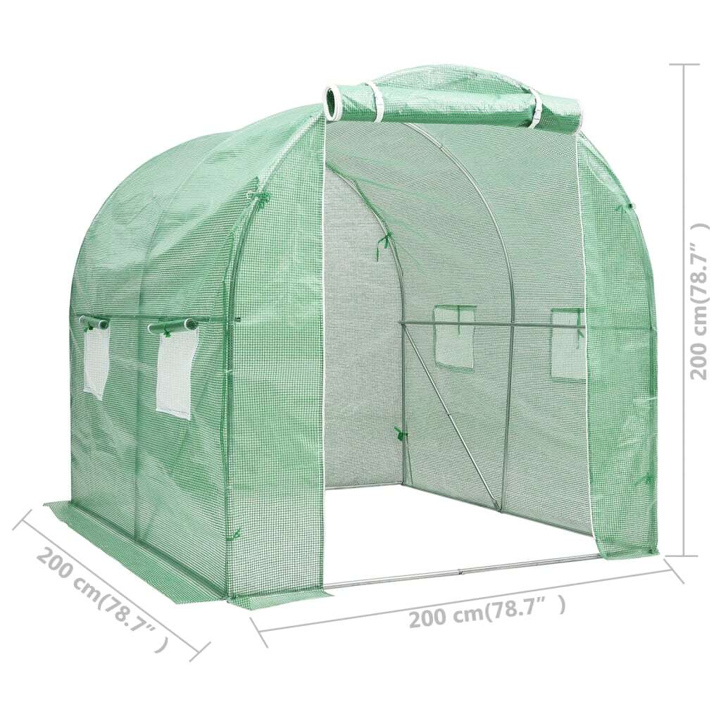 American Smart greenhouse, 43.1 ft gardening structure with 6.6x6.6x6.6 ft dimensions, ideal for plant cultivation and protection.