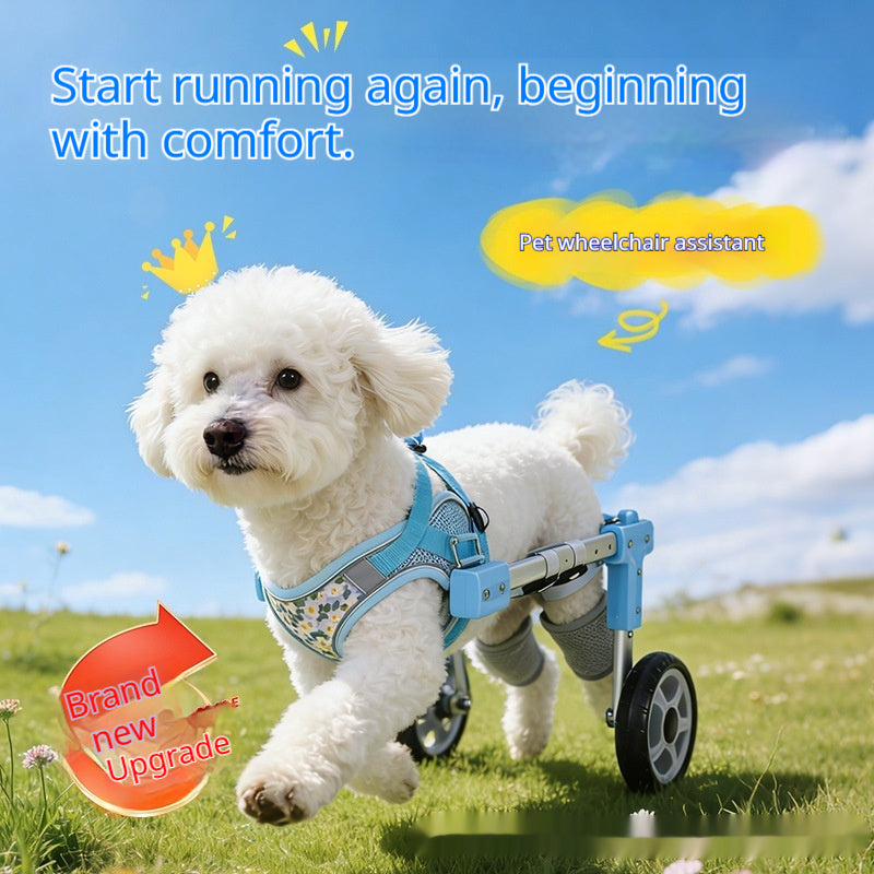 Color: Blue, Style: Two Rounds-XS, Size: - Lightweight Pet Assist Vehicle Rear Leg Support - American Smart