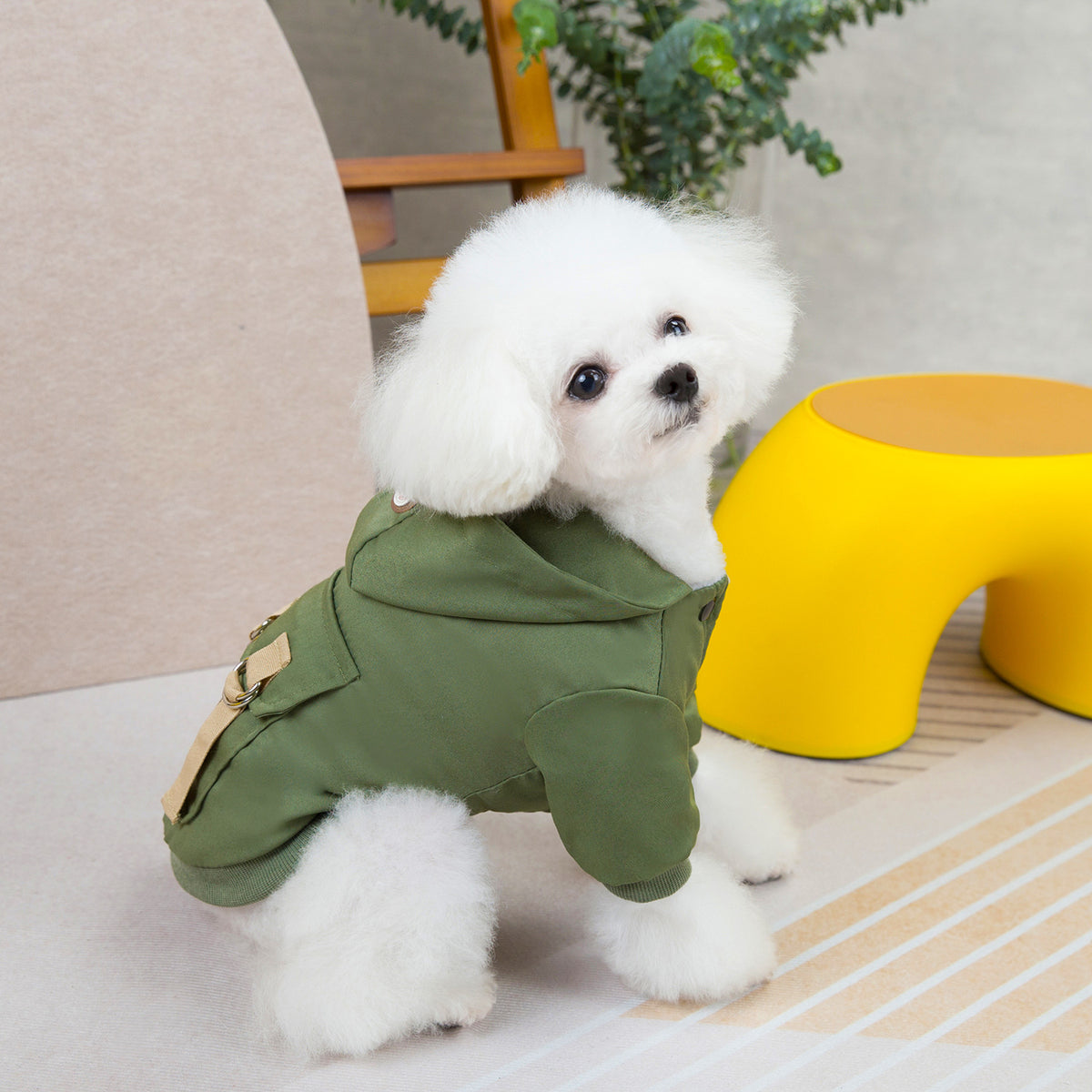 Eprolo pet sweater for dogs and cats, cozy cotton clothing with a cool style, featuring two-legged design for comfort.