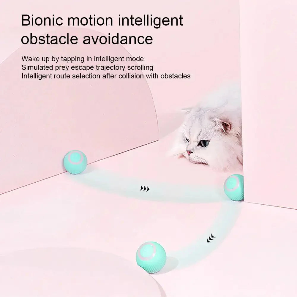 Interactive Self-Moving Kitten Toys-2