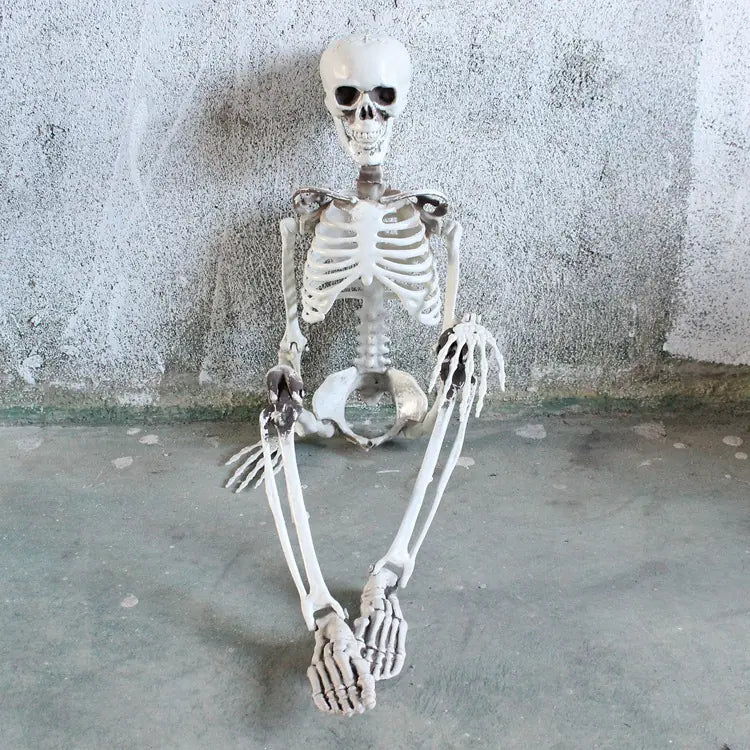 Realistic Skeleton Model for Halloween Decoration