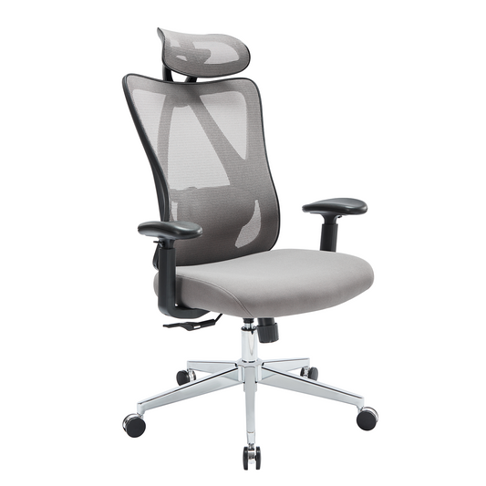 Sweetcrispy High Back Ergonomic Office Chair Adjustable Headrest and Waistrest Mesh Desk chair