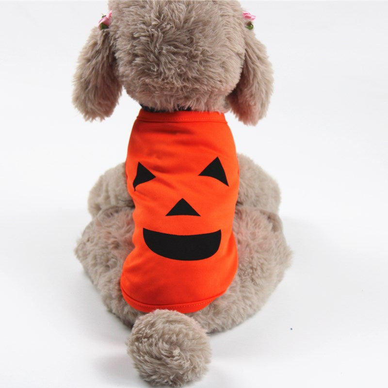 ClaudiaG Home Halloween pet pumpkin clothes on a small dog, featuring orange fabric with black pumpkin designs for festive holiday wear.