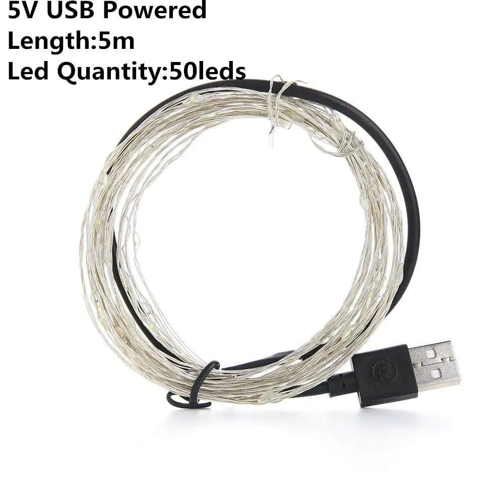 USB Powered LED String Lights for Outdoor Decoration