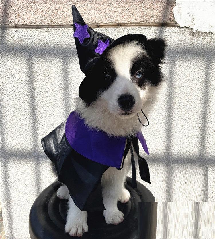 Enchanting Pet Halloween Wizard Costume Set-2