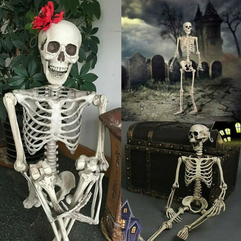 Realistic Skeleton Model for Halloween Decoration