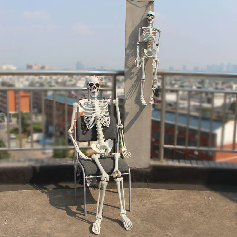 Realistic Skeleton Model for Halloween Decoration