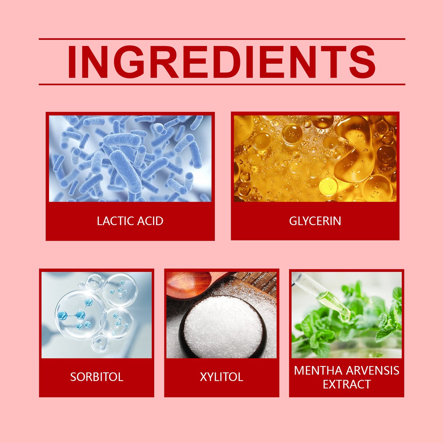 Oralhoe Probiotic Toothpaste Care For Dental Hygiene Gentle Cleaning Care To Remove Surface Stains Lasting Fresh