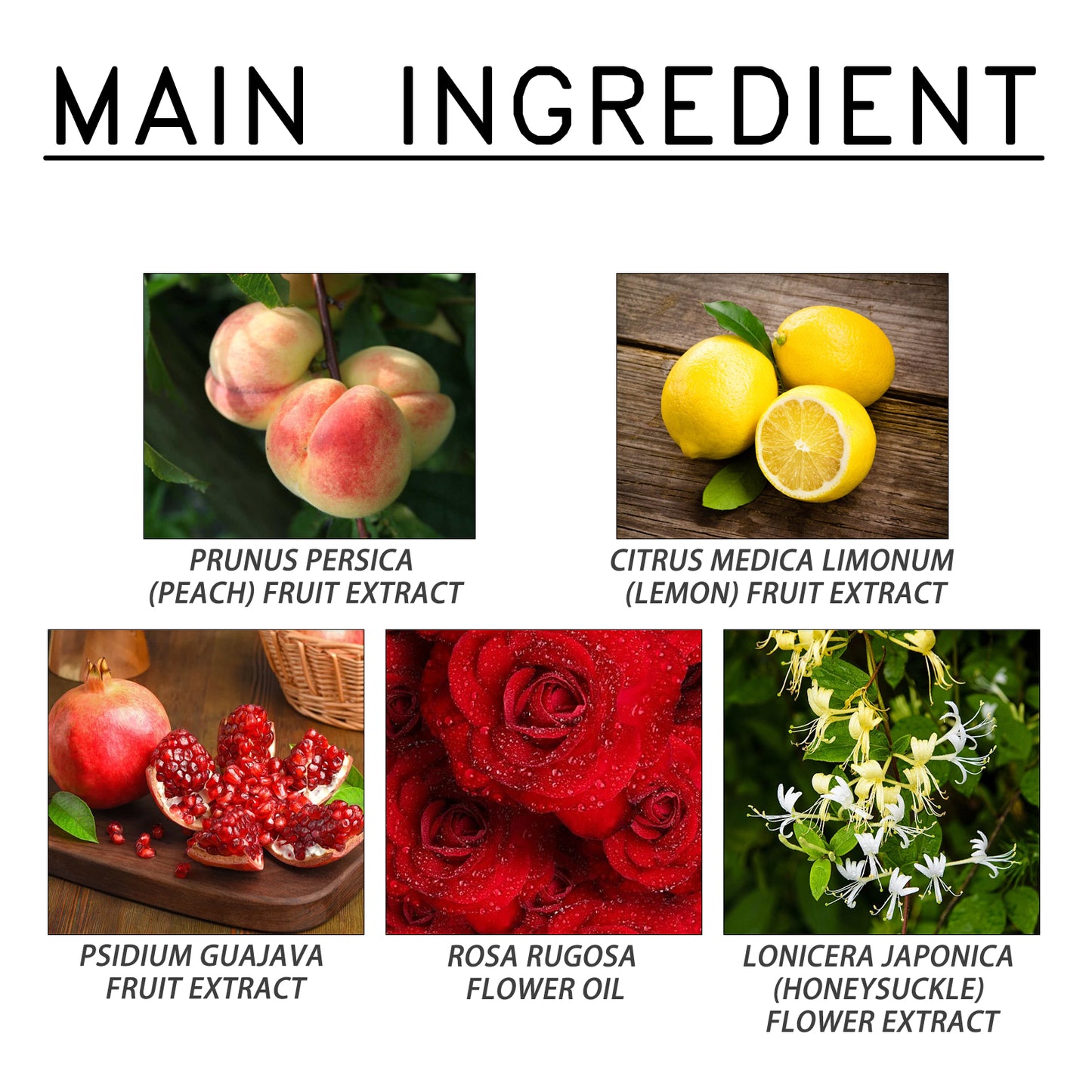 Pheromone Infused Perfume, Release Pheromones For Couples Dating To Exude Attractive Fragrances Lasting Fragrance Niche Perfumes