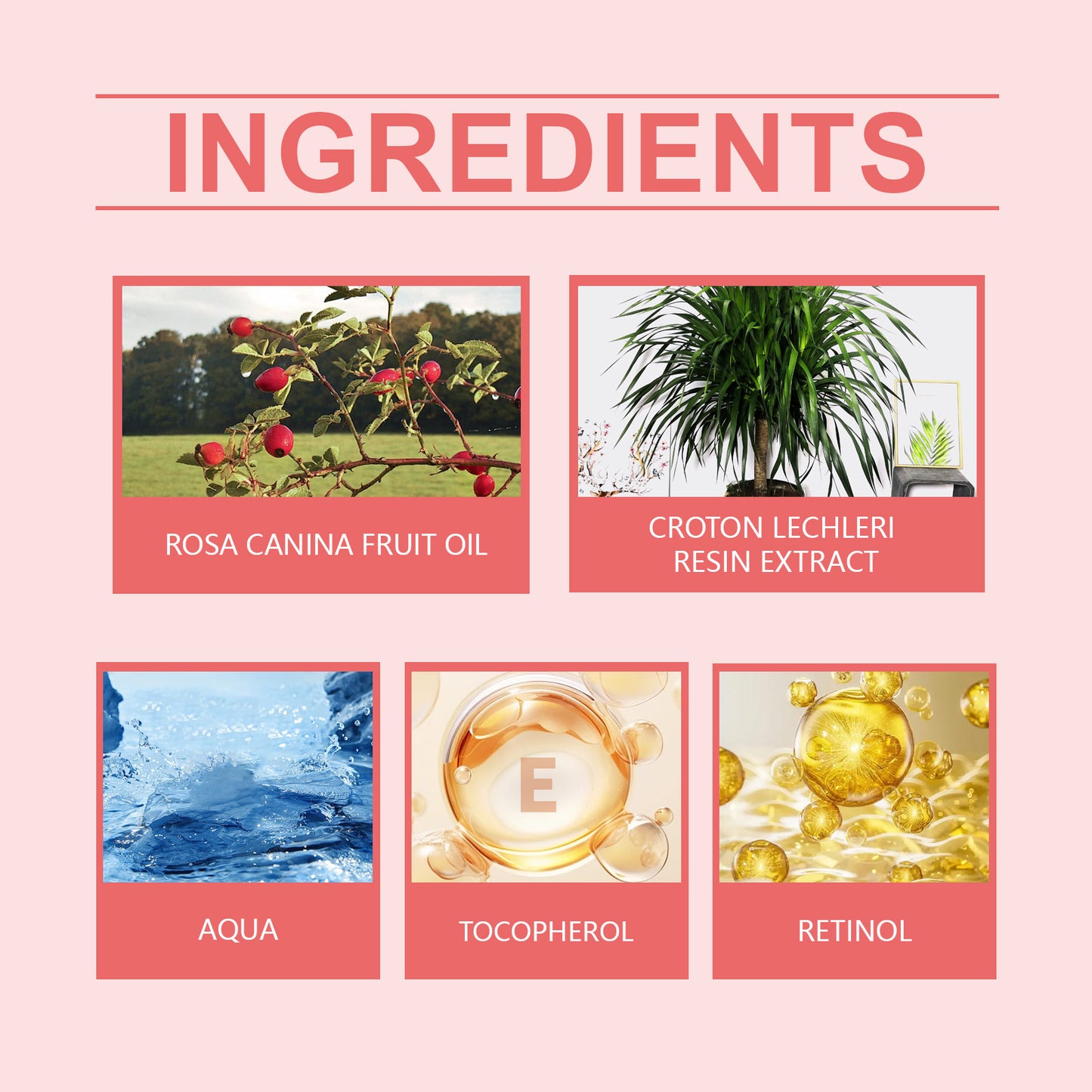 OUHOE Rose Hip Anti-Wrinkle Cream Moisturizing, Brightening, Reducing Fine Lines, Firming, Smoothing And Nourishing Facial Skin Cream