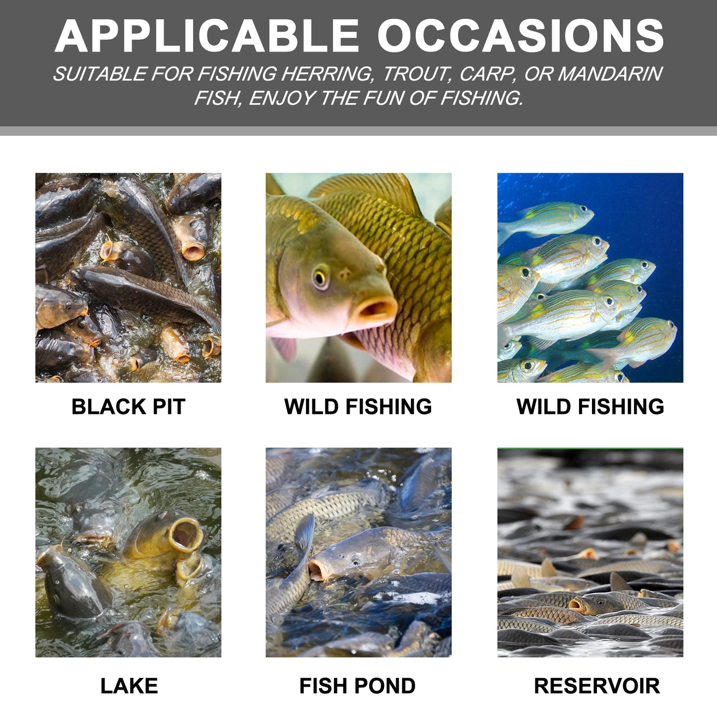 Yegbong Corn Fish Bait, Reservoir Fish Bait Fishing Lure Fish Portable Fish Primer