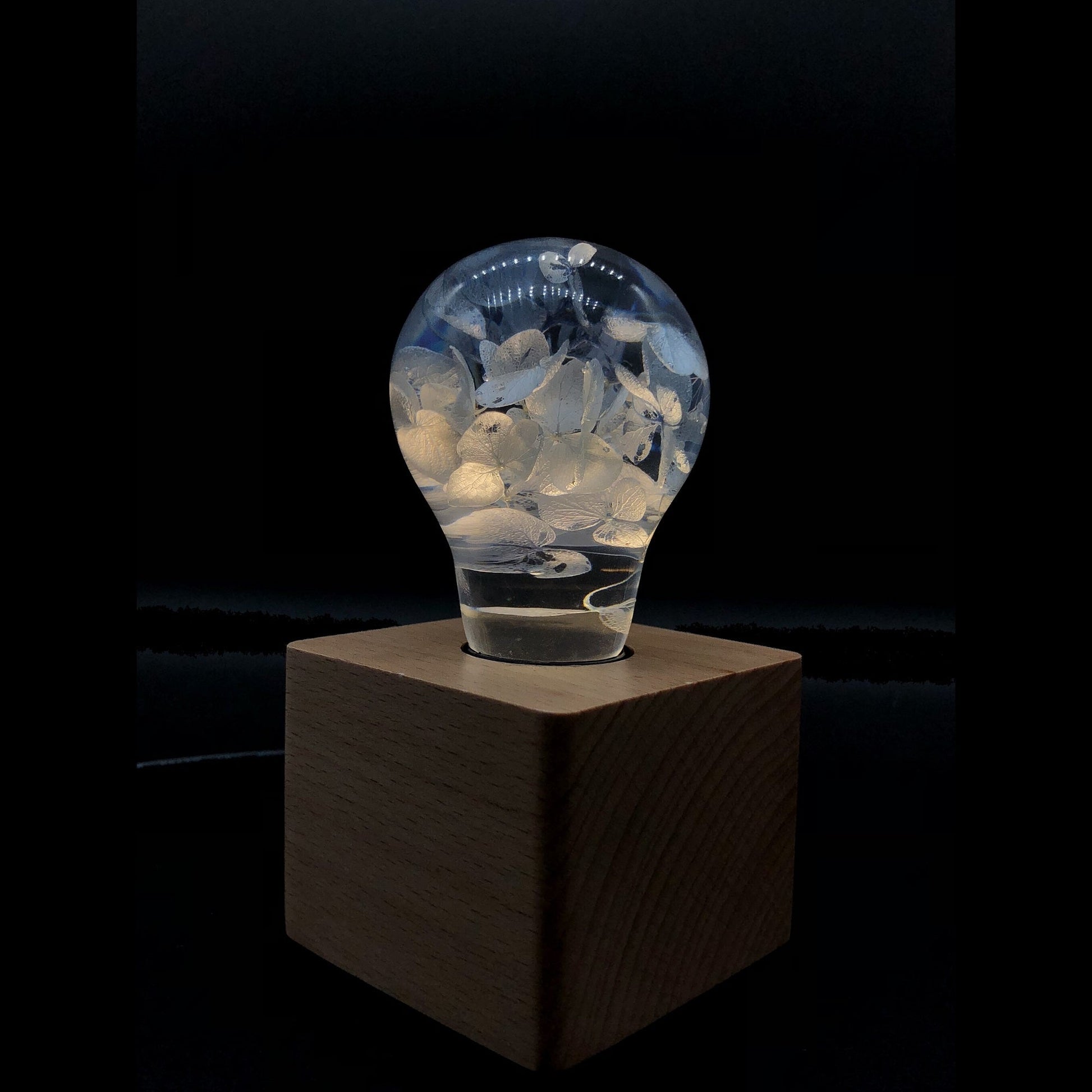 EP LIGHT Gift Set - 3-Pack LED Lights-1