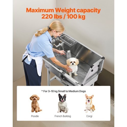 Stainless steel 34-inch dog washing station with shower, faucet, soap holder, and non-slip stairs for small pets like cats.