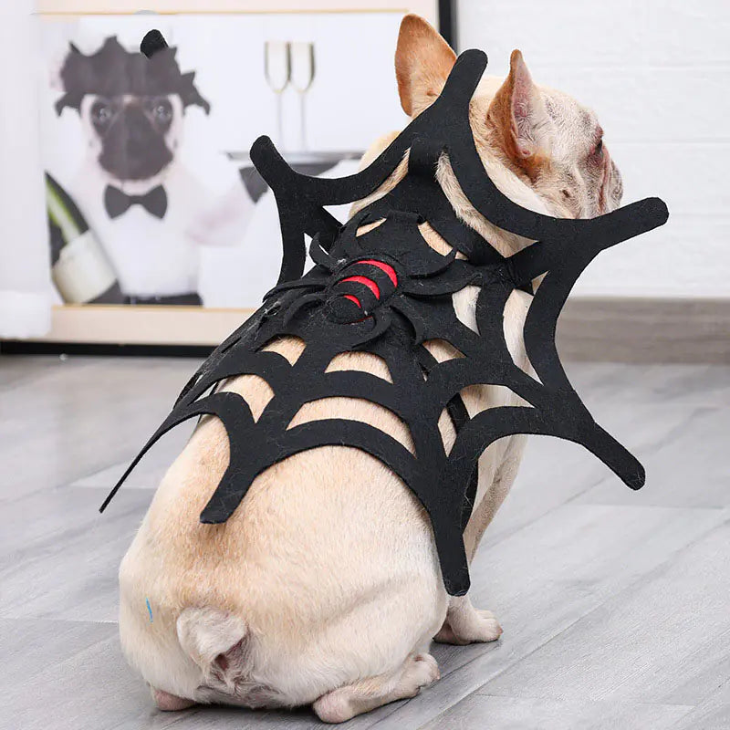 Halloween Cat and Dog Spider Web Decoration Set