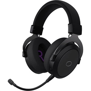 Headphone Grey/BLK CH351