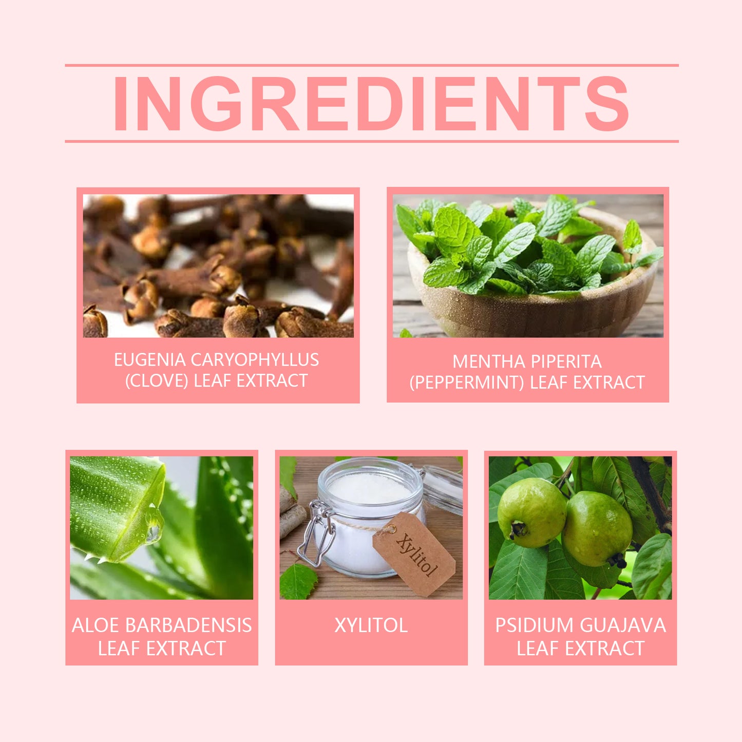 Oralhoe Brightening Fresh Breath Toothpaste Cleaning Care Teeth Brightening Remove Stains Oral Care Herbal Toothpaste