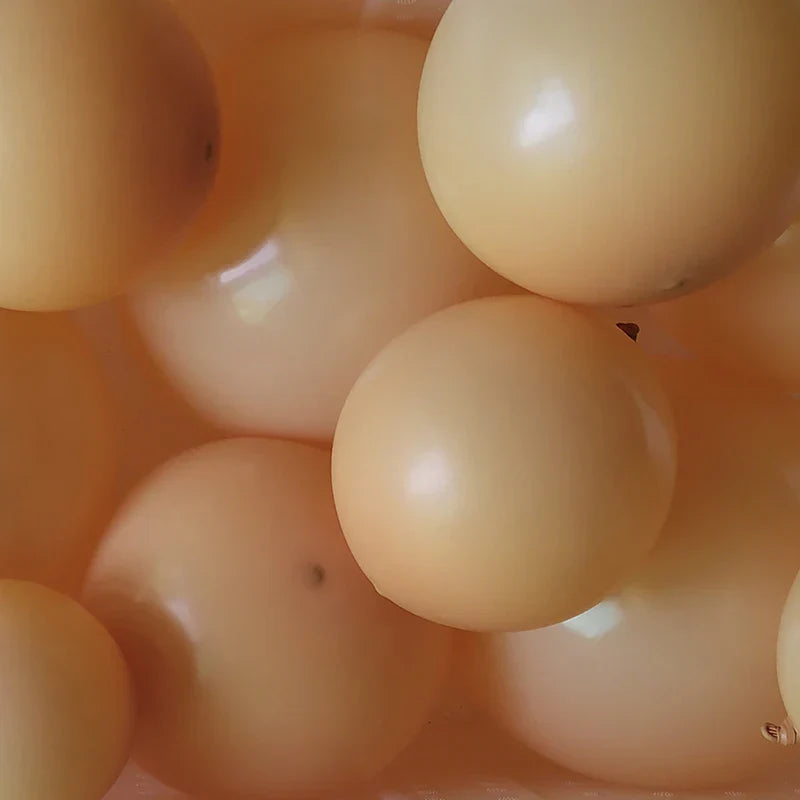 Candy Color Giant Matte Balloon 5-36inch Latex Helium Balloons Birthday Wedding Decoration Christmas New Year Halloween Decor-7