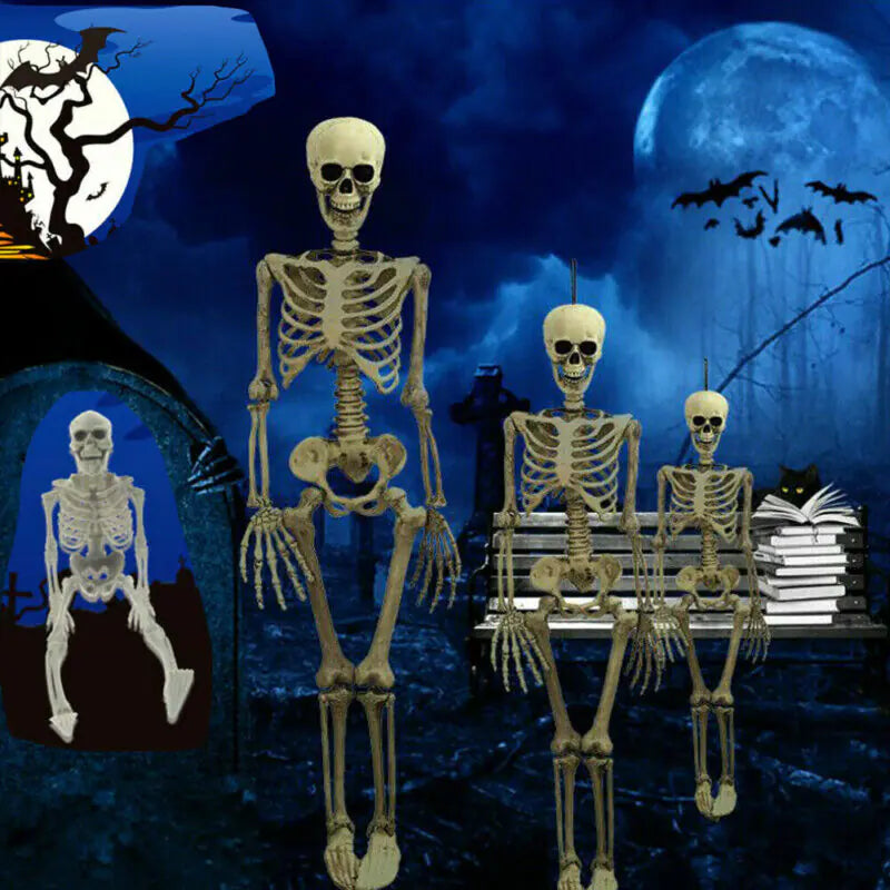 Realistic Skeleton Model for Halloween Decoration