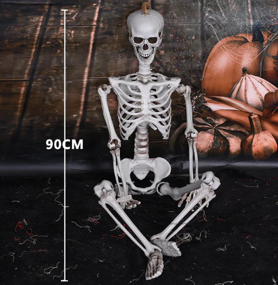 Realistic Skeleton Model for Halloween Decoration