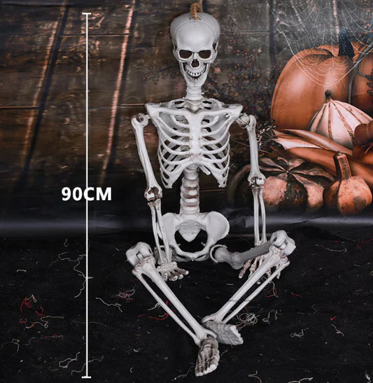 Realistic Skeleton Model for Halloween Decoration