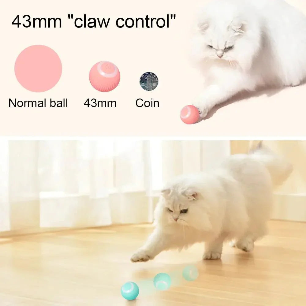Interactive Self-Moving Kitten Toys-1