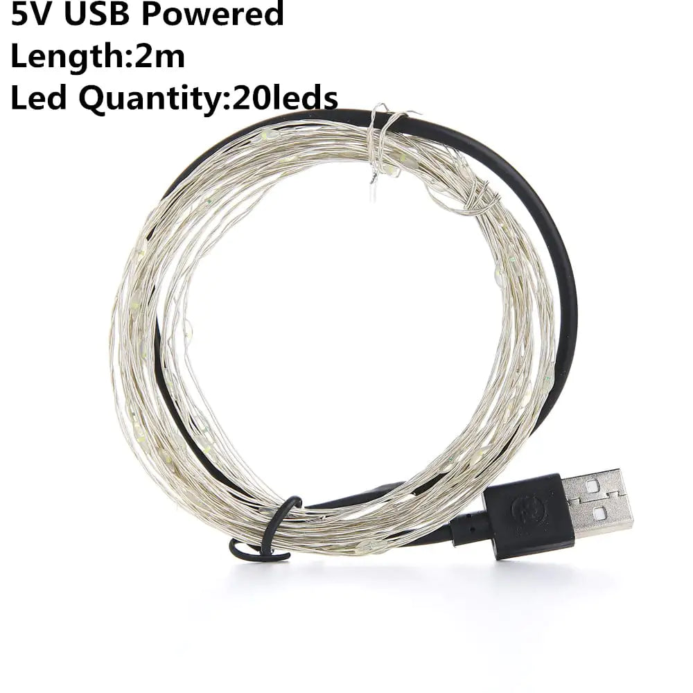 USB Powered LED String Lights for Outdoor Decoration