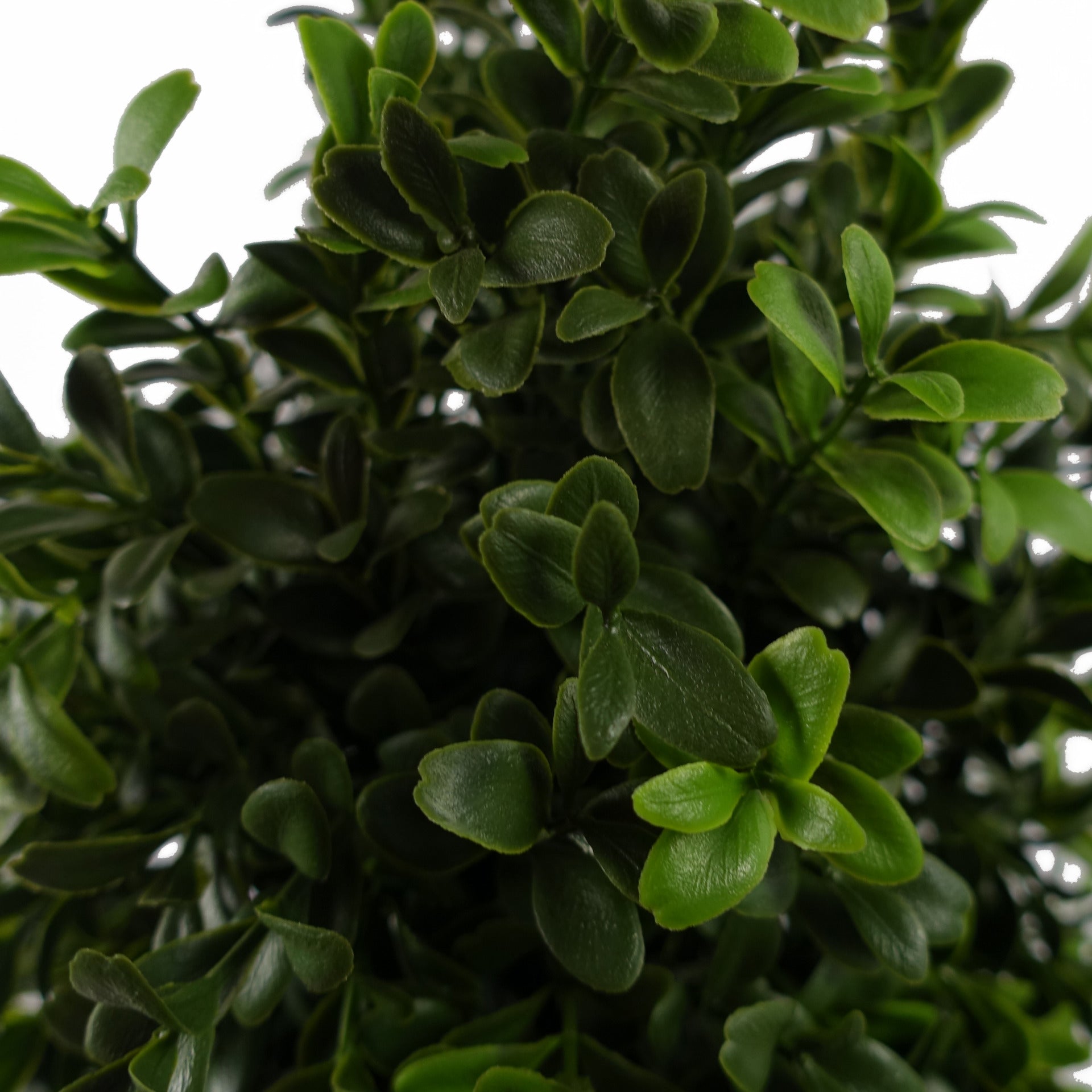 120cm Sprial Boxwood Artificial Tree UV Resistant Outdoor-1