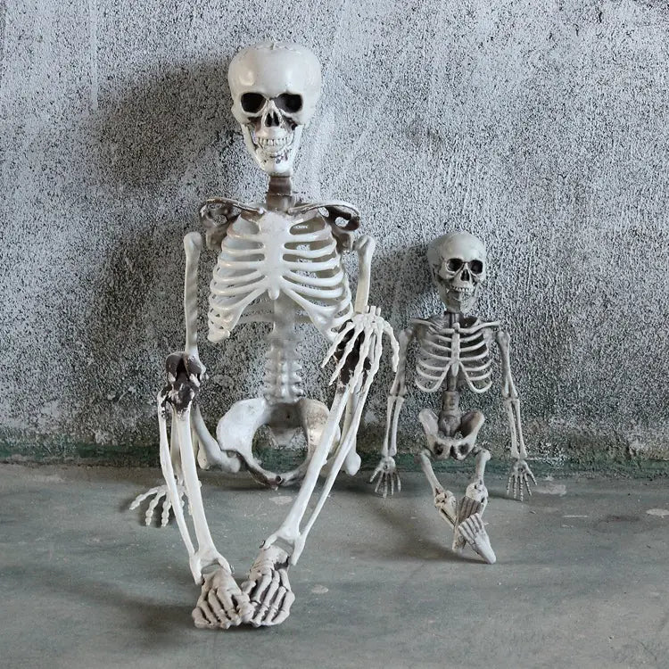 Realistic Skeleton Model for Halloween Decoration