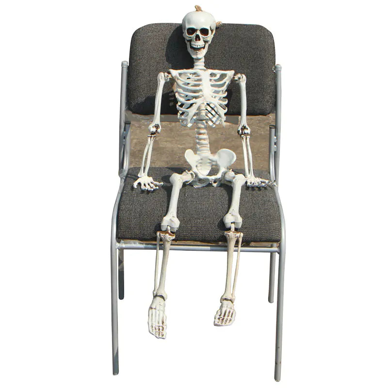 Realistic Skeleton Model for Halloween Decoration