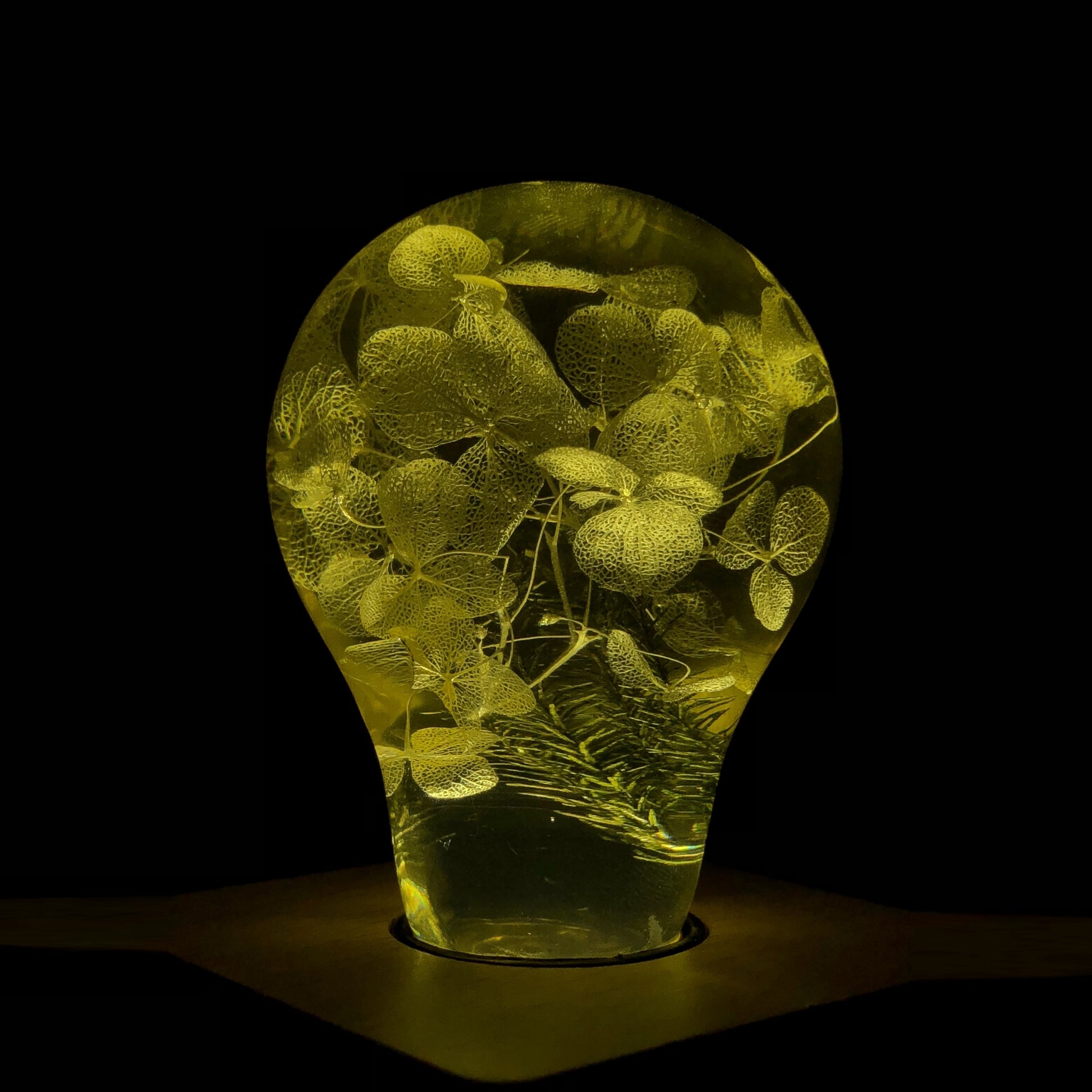 EP LIGHT Gift Set - 3-Pack LED Lights-3