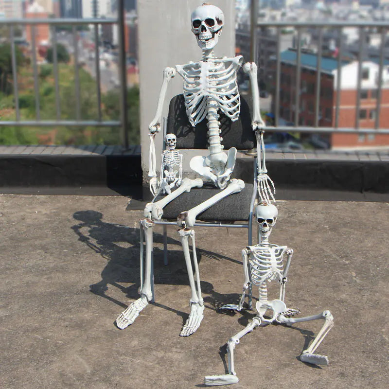 Realistic Skeleton Model for Halloween Decoration