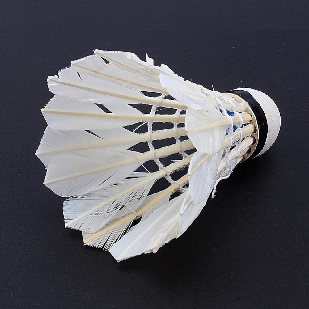 Set of 12 American Smart EP badminton shuttlecocks with white feathers and plastic base for outdoor and indoor play.
