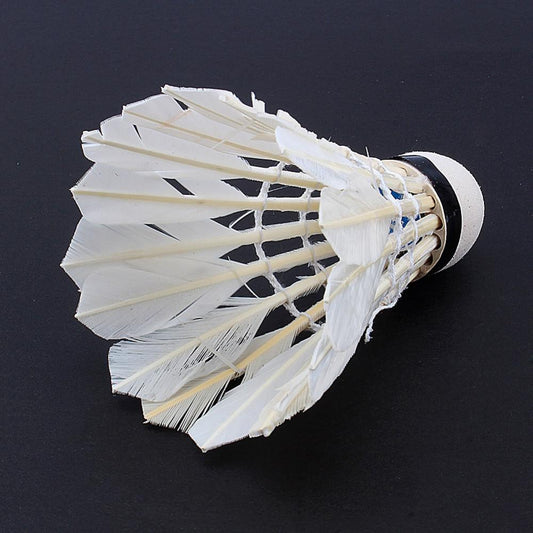 Set of 12 American Smart EP badminton shuttlecocks with white feathers and plastic base for outdoor and indoor play.