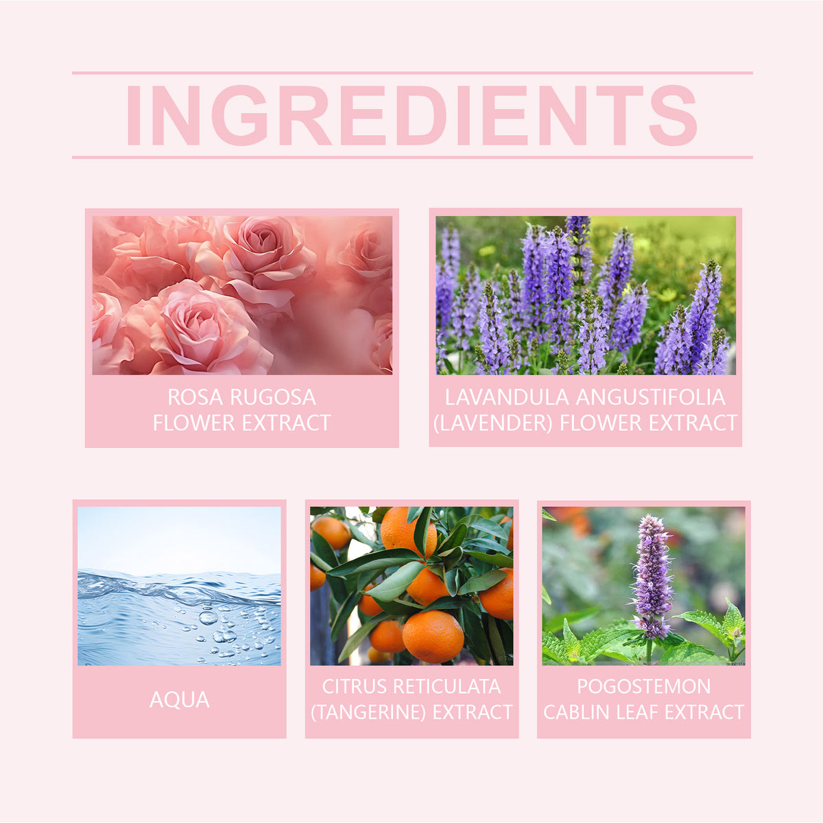 Pink Rose fragrance essential oil by American Smart, featuring a gentle floral scent in a portable women's Eau de Toilette bottle.