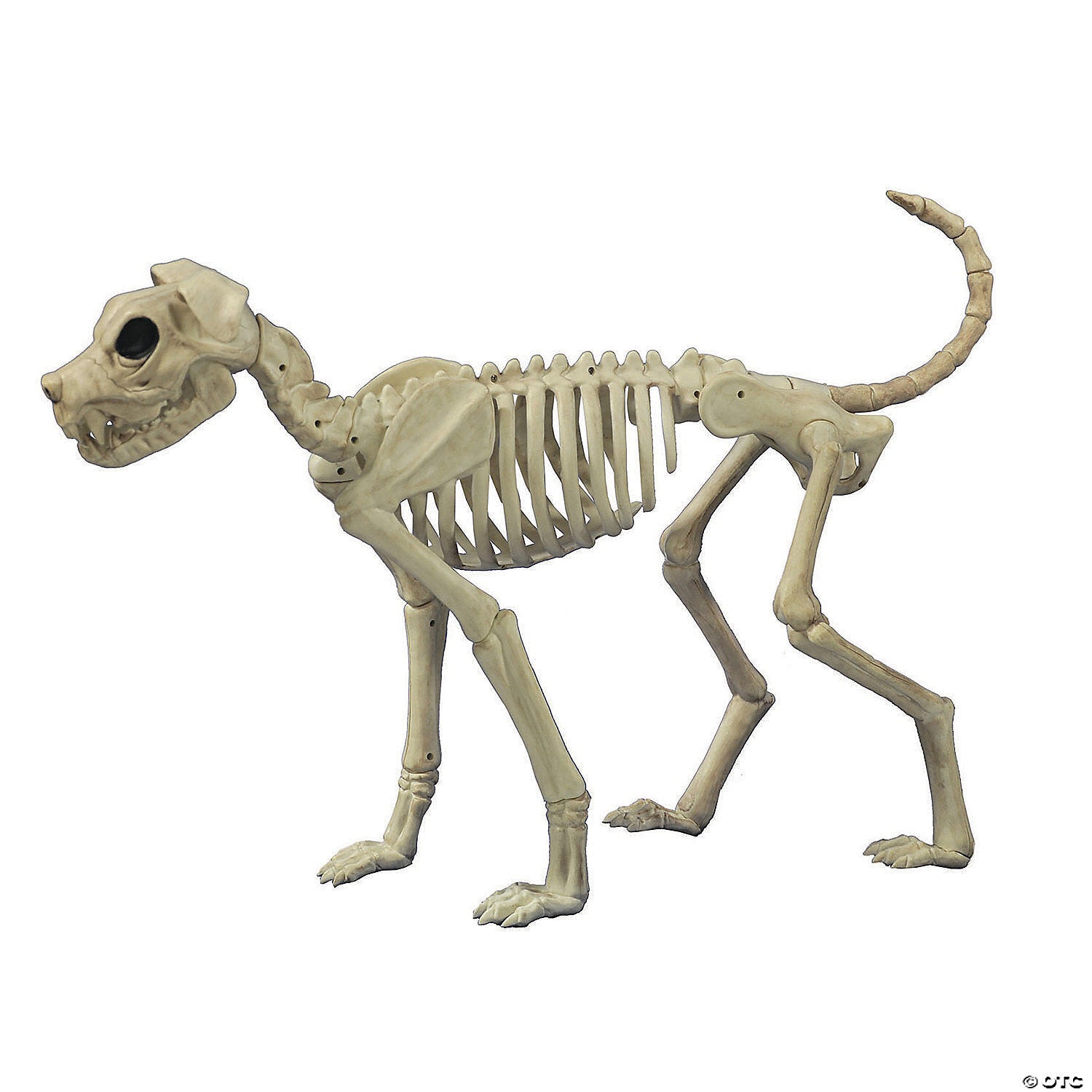 Decor Buster Bonez by American Smart WB, featuring a stylish bone-shaped ornament with intricate design details.