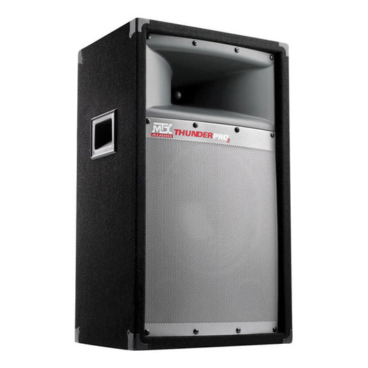 American Smart Thunderpro 10-inch 2-way full-range speaker cabinet with 100W RMS, professional audio equipment for sound systems.