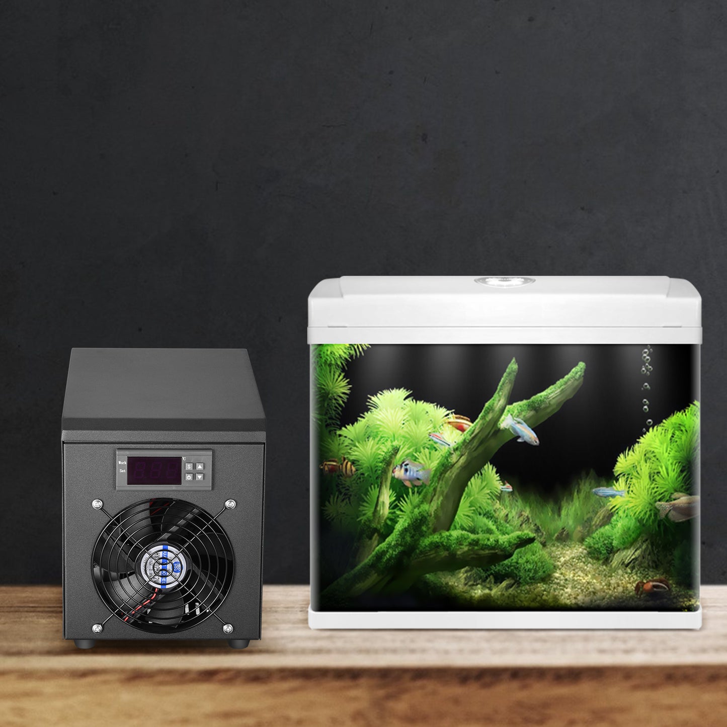 0-100℃ Aquarium Water Chiller 55L Fish Tank Cooler System Temperature Setting Device Constant For Fish Shrimp Breeding Tool