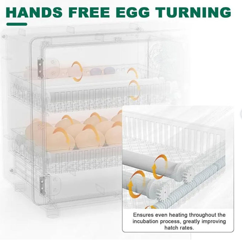 Eprolo 24 egg incubator with automatic turner, digital control hatchery machine for chicken, duck, and quail eggs.