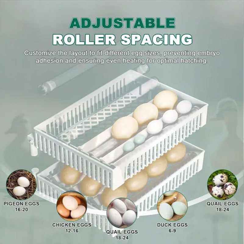 eprolo 24 Egg Incubator with digital touchscreen control, automatic turner for chicken, duck, and quail eggs in a poultry hatchery.