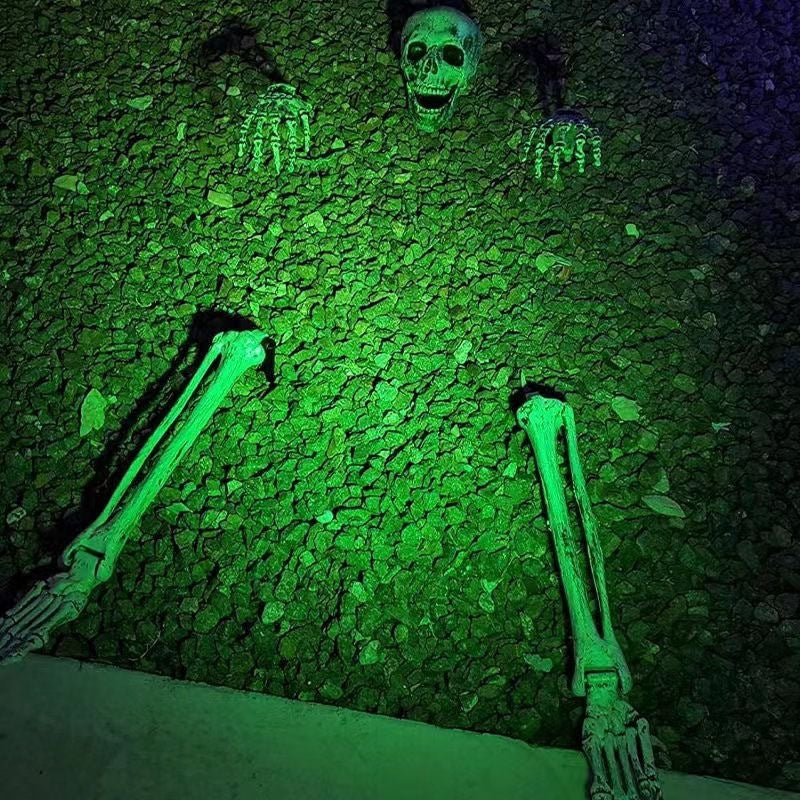Realistic Halloween skeleton stakes with skull, head, and hands for garden or lawn decoration by eprolo.