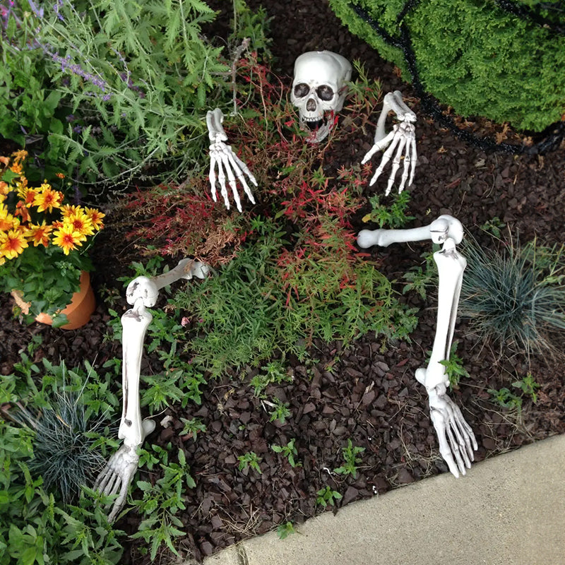 Realistic Halloween skeleton stakes with skull, head, hands, and arms for garden or lawn decoration by eprolo