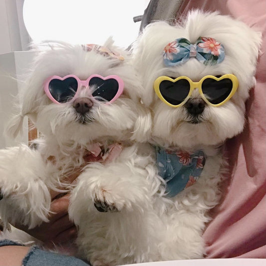 Eprolo Creative Love Pet Dog and Cat sunglasses with accessories, fashionable pet sun glasses for photos and outdoor wear