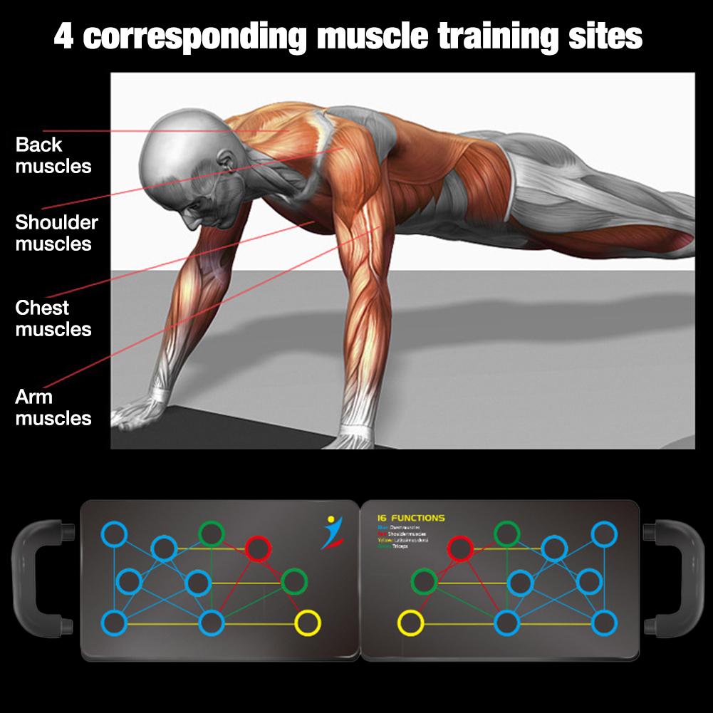 eprolo 16-in-1 push-up board with high-quality handles, foldable design, ideal for muscle training and fitness workouts.