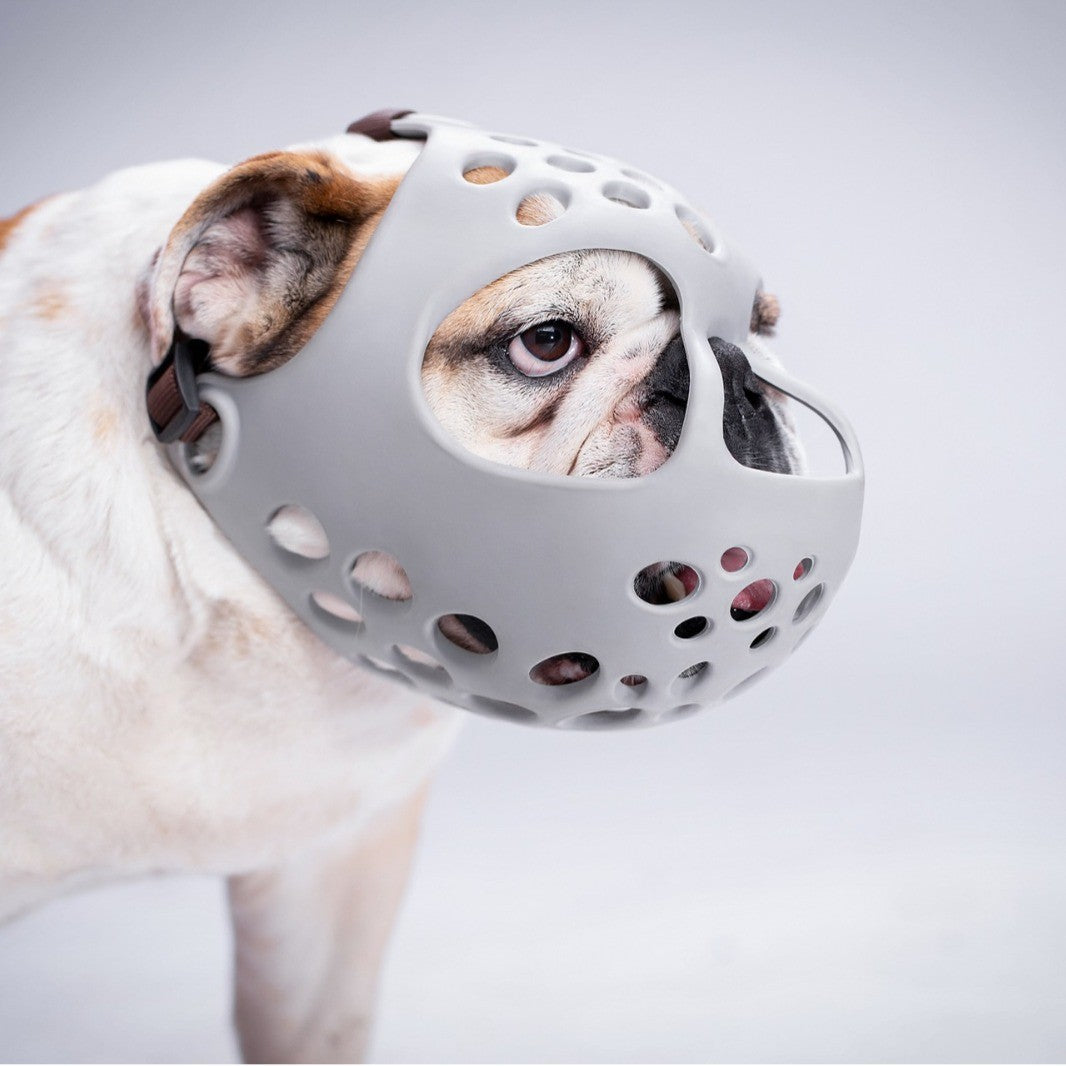Soft rubber dog muzzle by eprolo for Bull Terrier, Bulldog, French Bulldog, and Pug, preventing biting and eating behavior.
