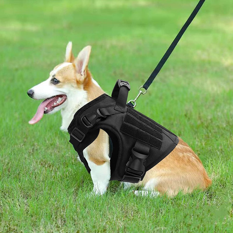 Nylon tactical dog training vest with adjustable straps and leash attachment, designed for pet training and outdoor activities.